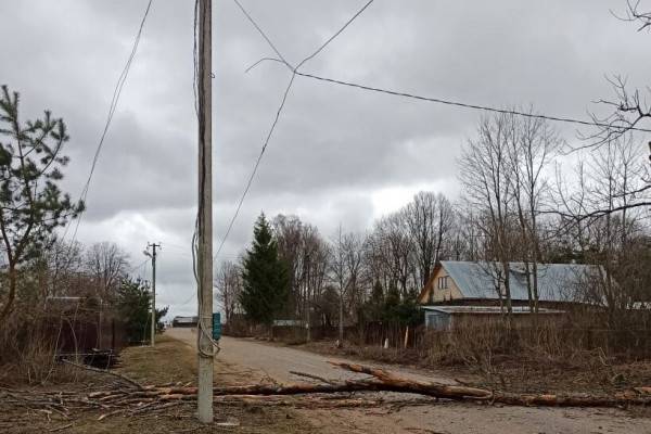 Благодарность за работу в условиях непогоды