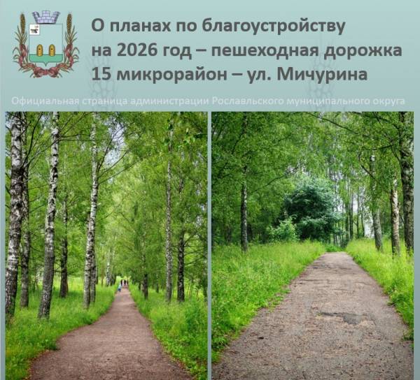 Объявление результатов голосования за благоустройство 2026 года и планы по реконструкции пешеходной зоны в Рославле