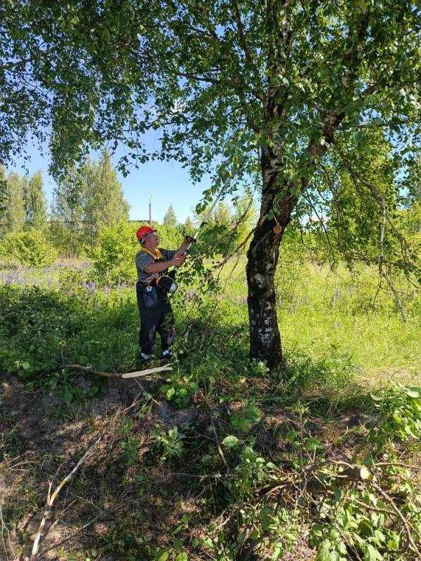 Городские новости
