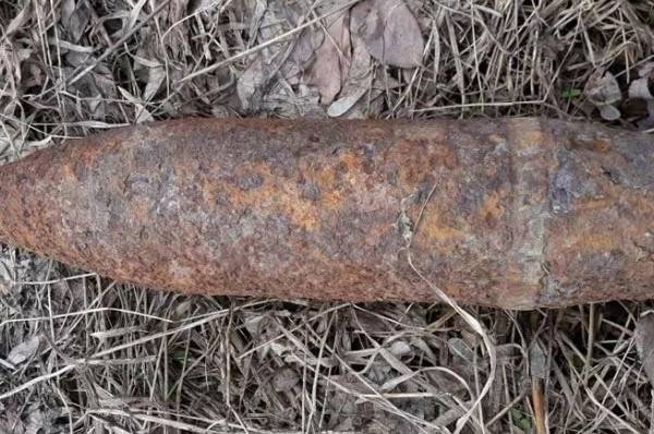 В Быльниках и в Плоском нашли минометные мины времён Великой Отечественной войны