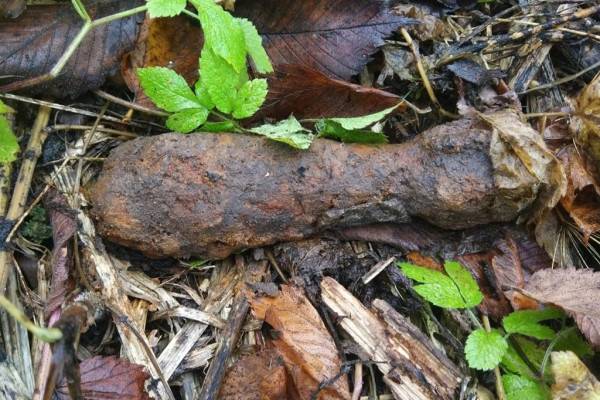 Обнаружение мин в Смоленской области