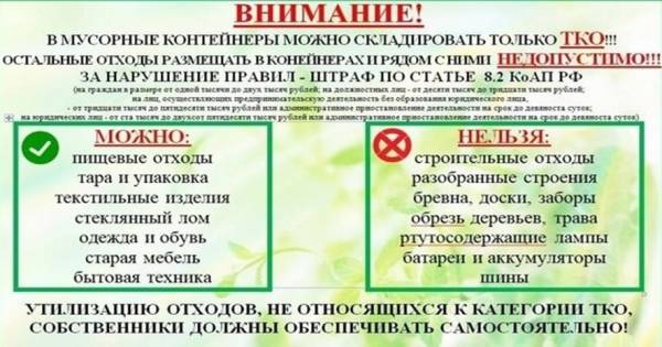 Раздельный сбор мусора: правильное обращение с ТКО