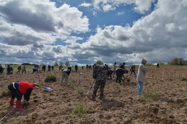 Создание геоглифа '80' в Смоленской области Создание геоглифа '80' в Смоленской области