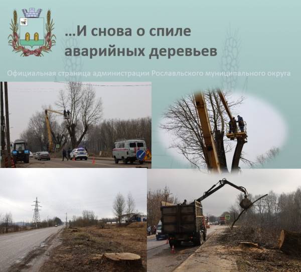 Спил деревьев в Рославле на ул. Б. Смоленская Спил деревьев в Рославле на ул. Б. Смоленская