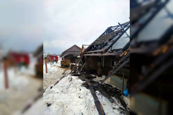 При пожаре в хозпостройке в Смоленской области погибли домашние животные