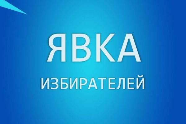 В избиркоме Смоленской области подвели итоги явки второго дня голосования