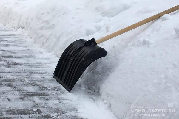 На встрече с главой города смоляне предложили помощь в уборке снега