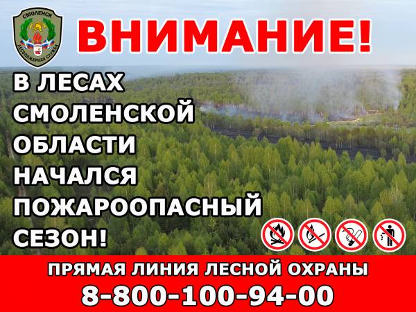 Начало пожароопасного сезона в лесах Смоленской области