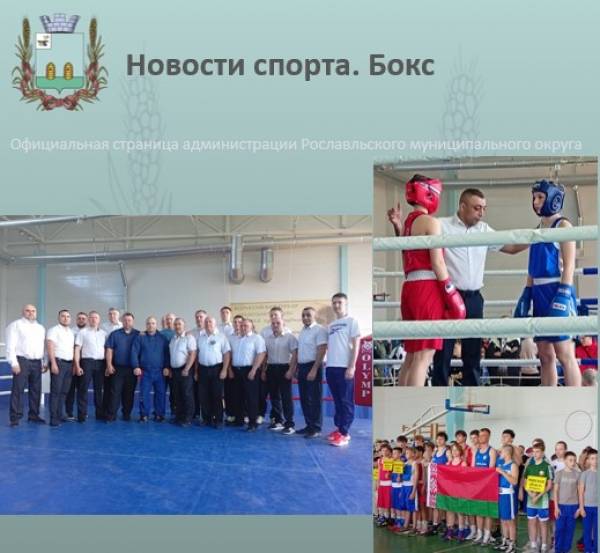 Турнир по боксу в Рославле завершен