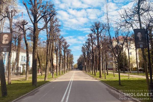 В Смоленске прошло обсуждение концепции ремонта улицы Октябрьской революции