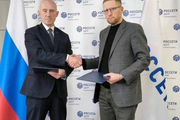 Упрощение подключения к электросетям для ответственных предприятий