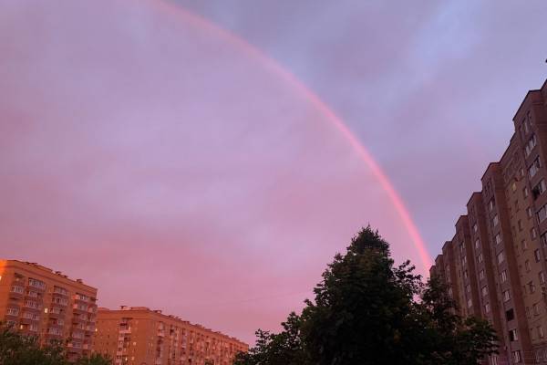 14 июня в Смоленской области ожидается сухая погода