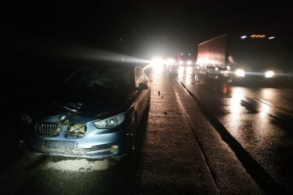 По факту смертельного ДТП в Смоленском районе возбуждено уголовное дело