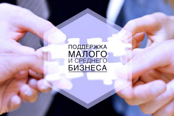 Грантовая поддержка 