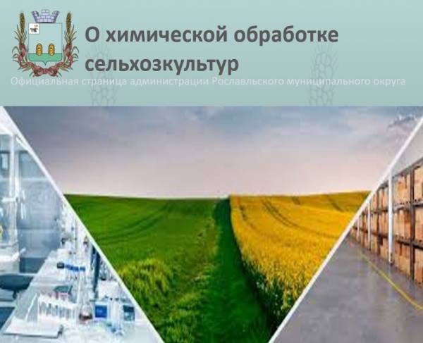 Химическая обработка полей в Рославльском районе