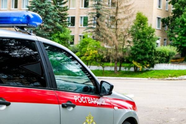 Арестован подозреваемый в краже продуктов на 25 тысяч рублей