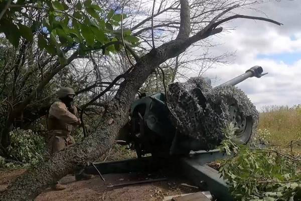 В Минобороны РФ поделились кадрами боевой работы гаубиц Д-30 в зоне СВО
