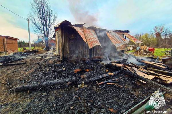 В деревне Барсуки Гагаринского района пожар унёс жизни 14 перепелок