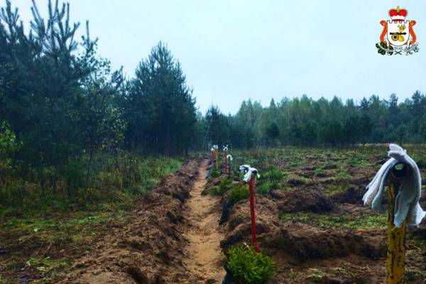 Продление проекта 