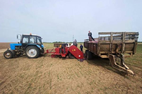 В УФСИН России по Смоленской области завершили посевные мероприятия