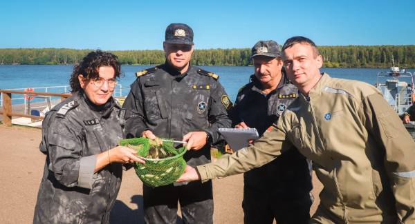 Смоленская АЭС восстанавливает популяцию черного амура ради экологии и безопасности