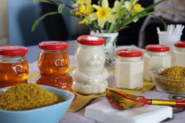 Региональный социальный контракт в Смоленской области