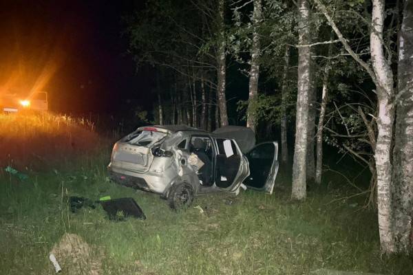 Смертельное ДТП в Смоленской области: водитель LADA XRAY погиб после столкновения с деревом