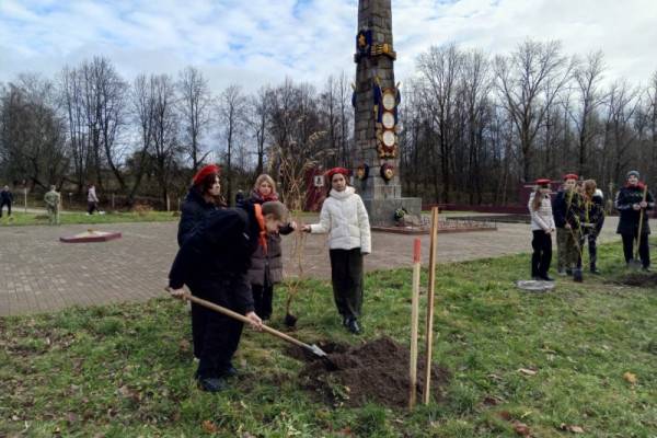 На мемориале в Микулино высадили плакучие ивы