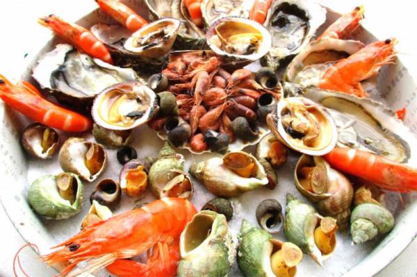 Польза морепродуктов для здоровья Польза морепродуктов для здоровья