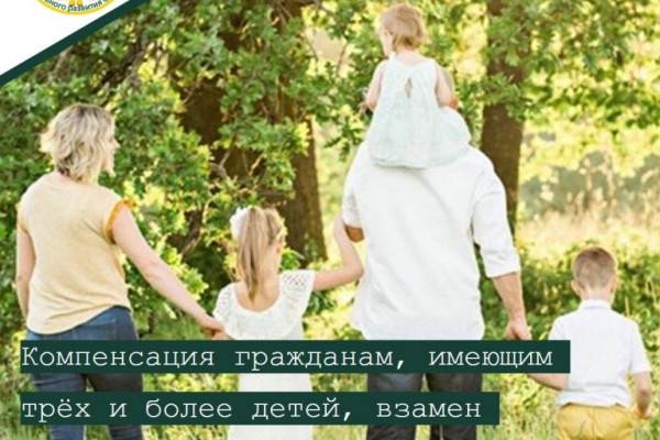 Многодетные семьи Смоленской области могут получить денежную компенсацию вместо земельного участка
