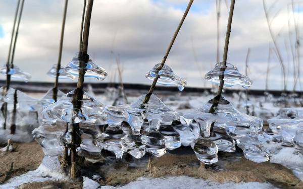 Финалисты программы  Финалисты программы