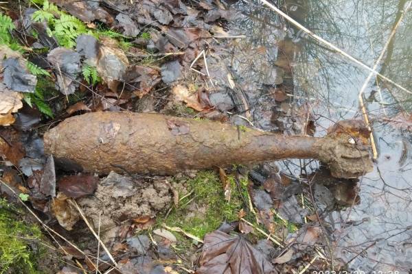 В Смоленской области нашли очередной взрывоопасный снаряд времён ВОВ