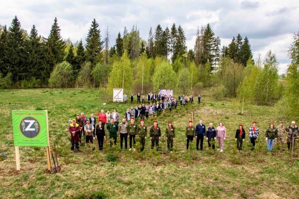 Смоленские единороссы рассказали о своём участии в патриотических акциях