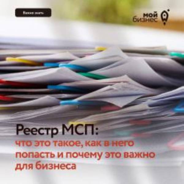 Что такое реестр субъектов малого и среднего предпринимательства и как в него попасть