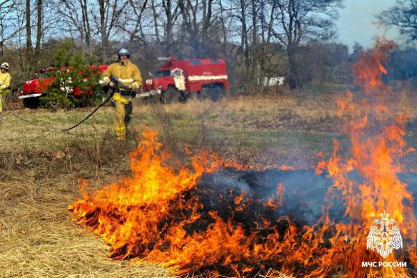 Возгорание сухой травы в Смоленской области: масштаб бедствия растёт