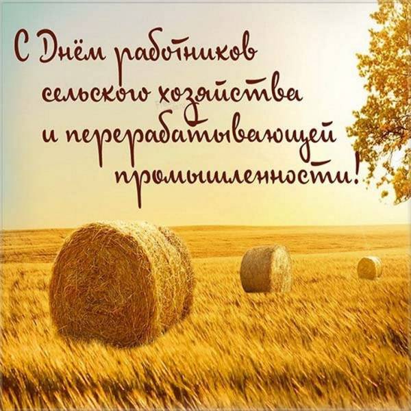 С Днём работника сельского хозяйства, труженики Рославльского района!