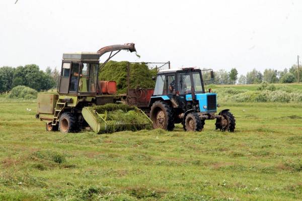 Уборка кормов и поддержка аграриев