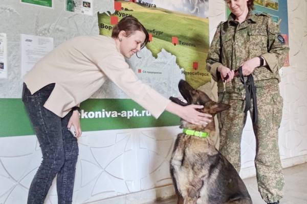 Таможня проводит профориентационное мероприятие для студентов