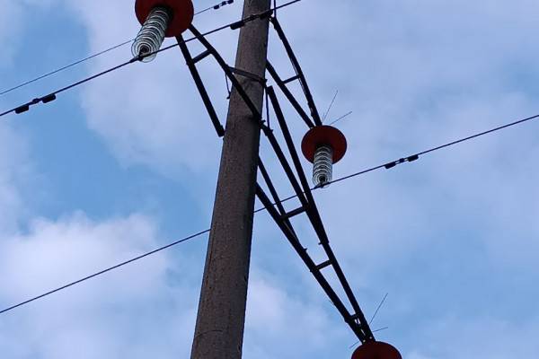 Защита птиц и повышение надежности электроснабжения в Смоленской области