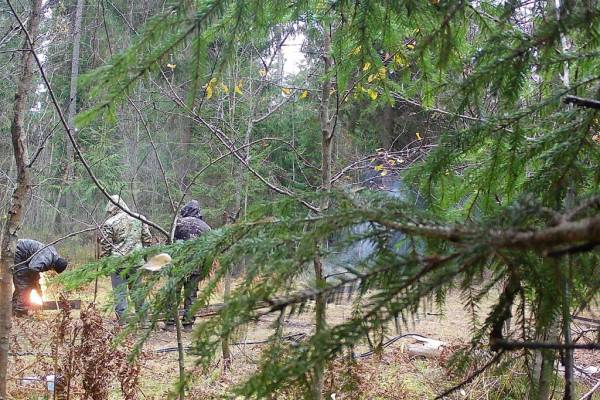 В Смоленской области задержаны воры, пытавшиеся украсть железнодорожные рельсы