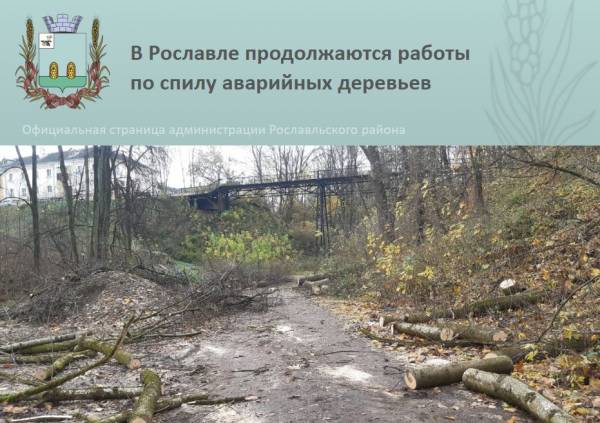 В Рославле продолжаются работы по спилу аварийных деревьев