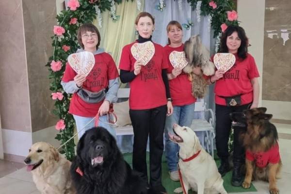 Метод канистерапии: собаки-терапевты помогают юным смолянам Метод канистерапии: собаки-терапевты помогают юным смолянам
