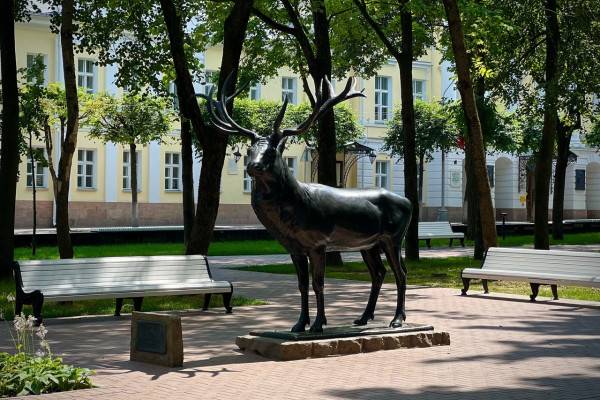 Синоптики из Смоленска поделились прогнозом погоды на начало недели