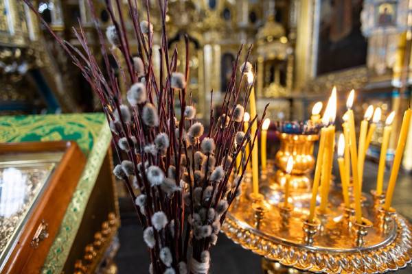 Поздравление мэра Смоленска с Вербным воскресеньем