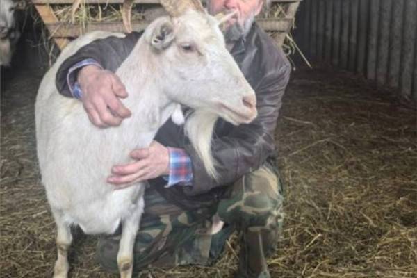 Социальный контракт помог жителю деревни расширить фермерское хозяйство Социальный контракт помог жителю деревни расширить фермерское хозяйство