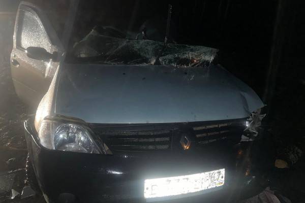 Дорожно-транспортное происшествие в Вяземском районе: гибель водителя Renault Logan