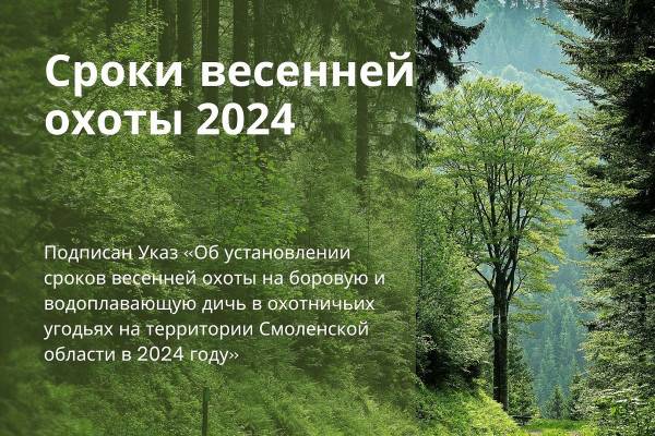 В Смоленской области определили периоды охоты на боровую и водоплавающую дичь