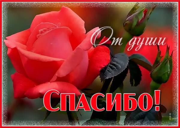 80-летие Победы: Торжественные мероприятия и благодарности