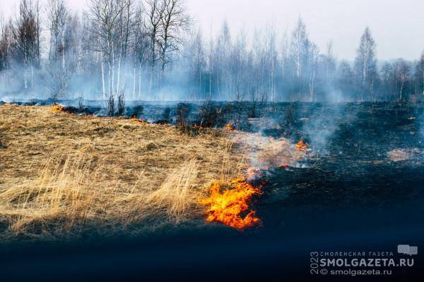 В Смоленской области «жёлтый» уровень погодной опасности продлили до 28 апреля