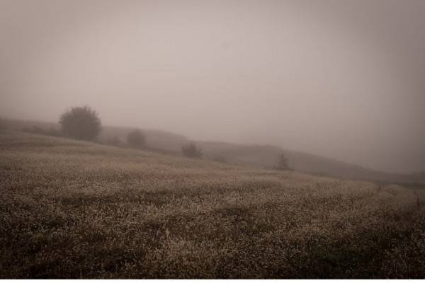 25 февраля в Смоленской области будет дождливо